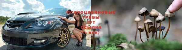 МДПВ Абдулино