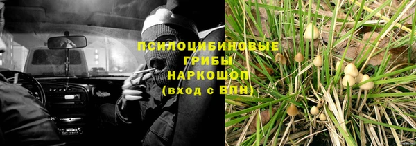 дмт Абинск