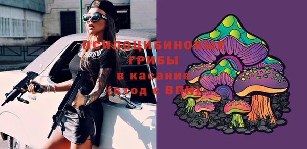 дмт Абинск