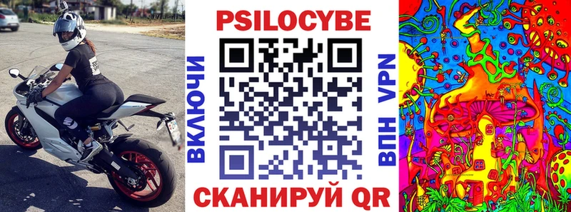 Псилоцибиновые грибы мухоморы Шумерля