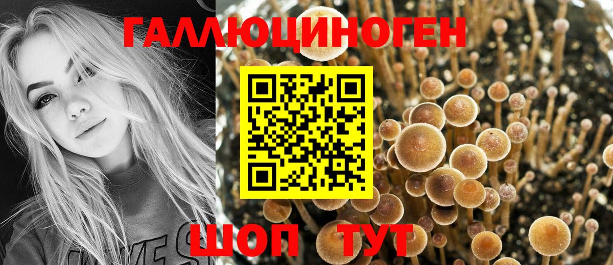 Галлюциногенные грибы мухоморы Шумерля