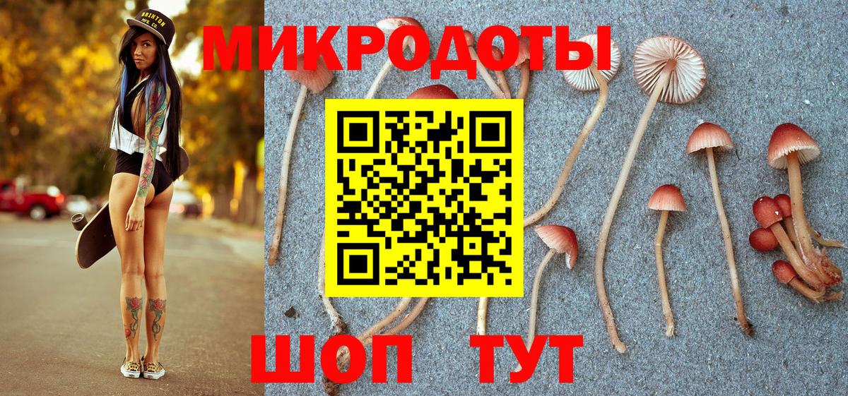 Псилоцибиновые грибы MAGIC MUSHROOMS  Галлюциногенные грибы Psilocybine cubensis  Вход с VPN  Шумерля 